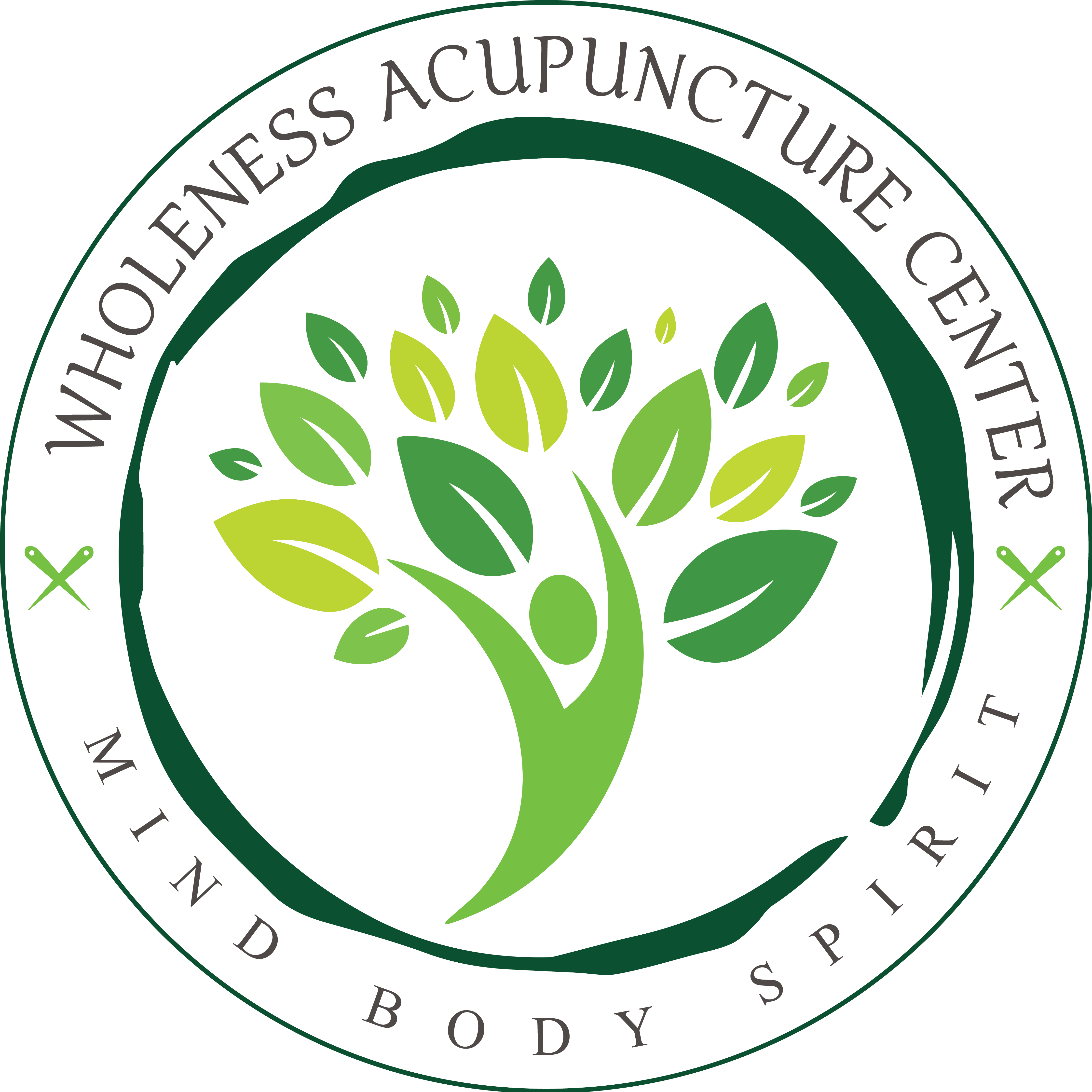 wholeness acupuncture center